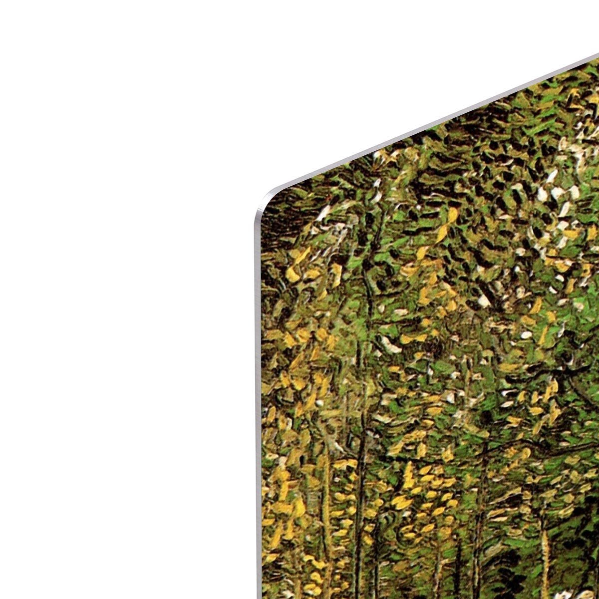 The Grove by Van Gogh HD Metal Print