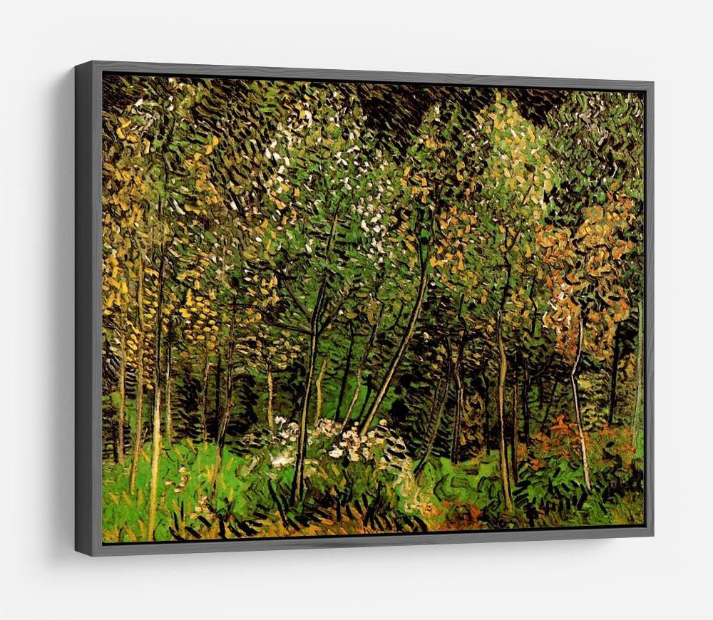 The Grove by Van Gogh HD Metal Print