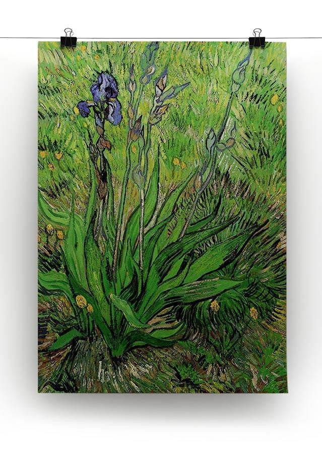 The Iris by Van Gogh Canvas Print & Poster - Canvas Art Rocks - 2