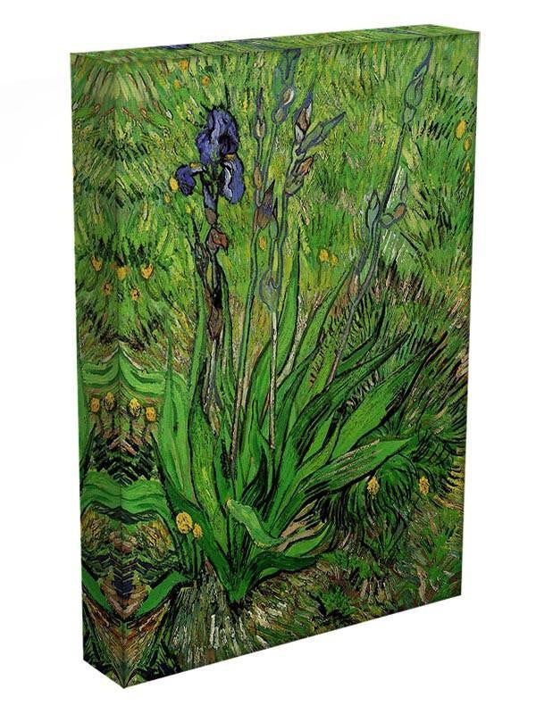 The Iris by Van Gogh Canvas Print & Poster - Canvas Art Rocks - 3