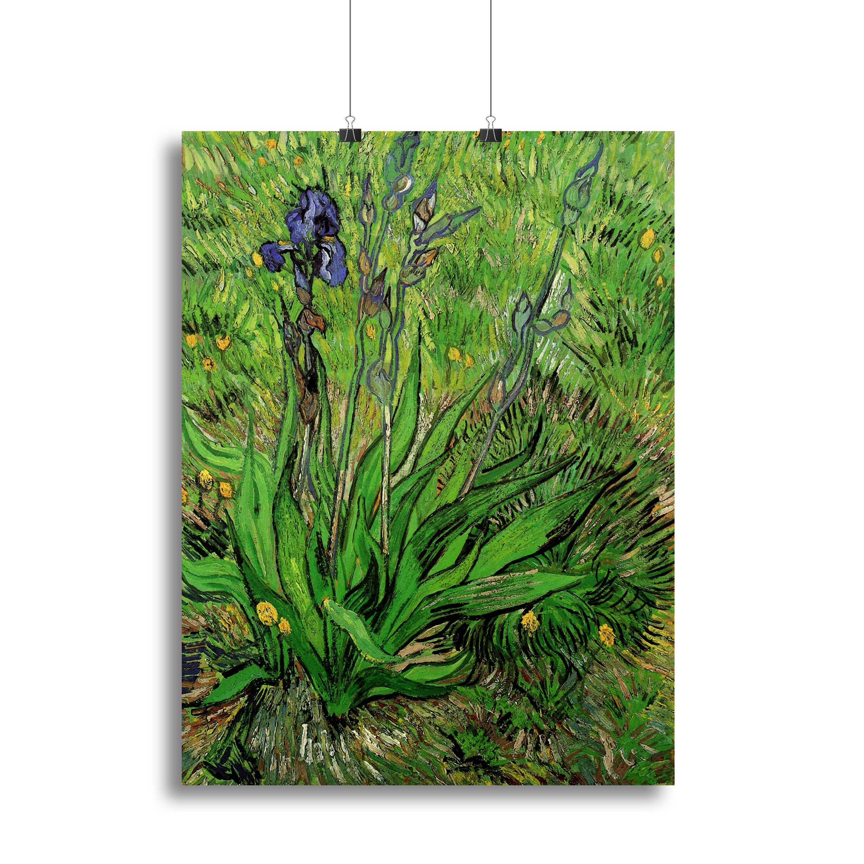 The Iris by Van Gogh Canvas Print or Poster