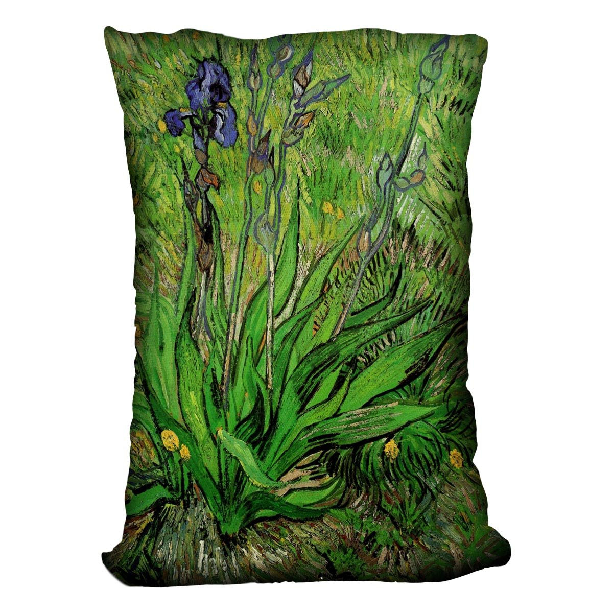 The Iris by Van Gogh Throw Pillow