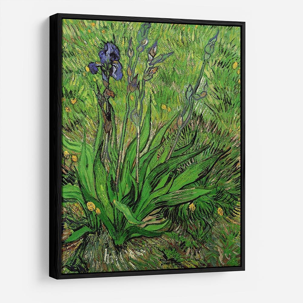 The Iris by Van Gogh HD Metal Print