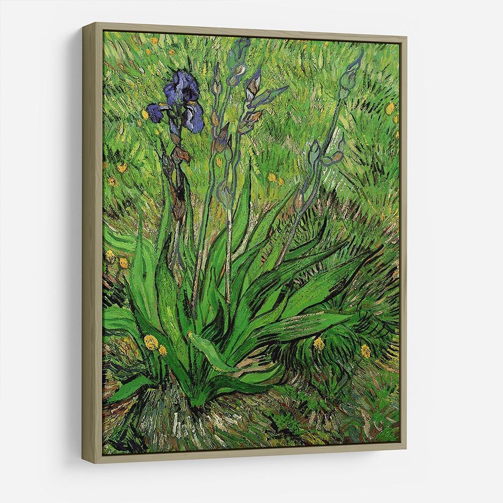 The Iris by Van Gogh HD Metal Print