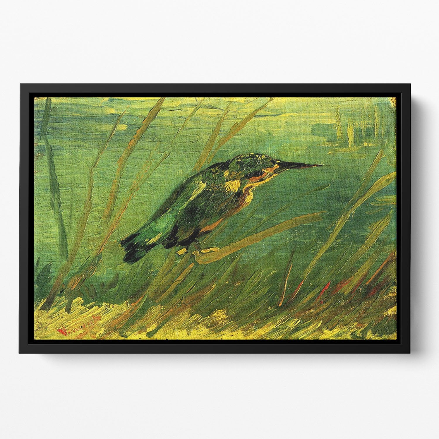 The Kingfisher by Van Gogh Floating Framed Canvas