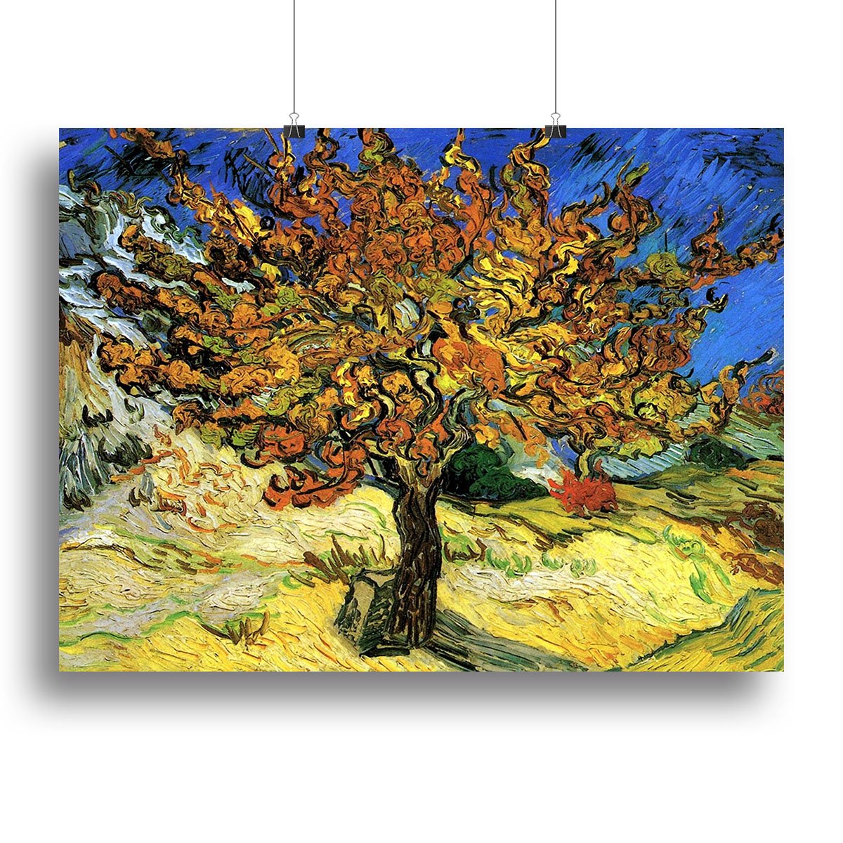 The Mulberry Tree by Van Gogh Canvas Print or Poster