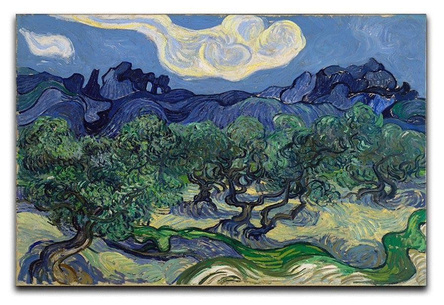 The Olive trees Canvas Print & Poster  - Canvas Art Rocks - 1