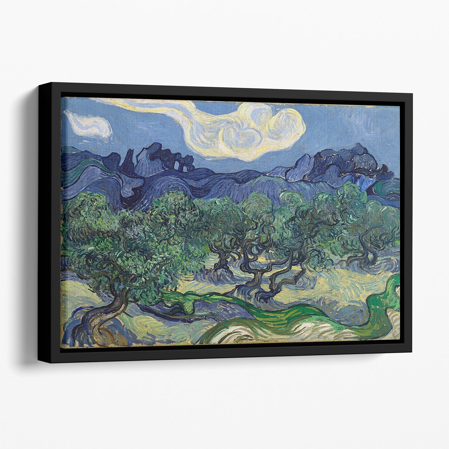 The Olive trees Floating Framed Canvas