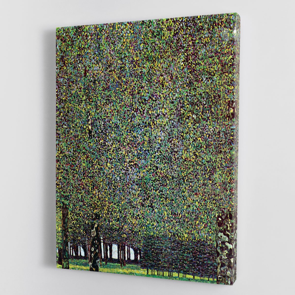The Park by Klimt Canvas Print or Poster