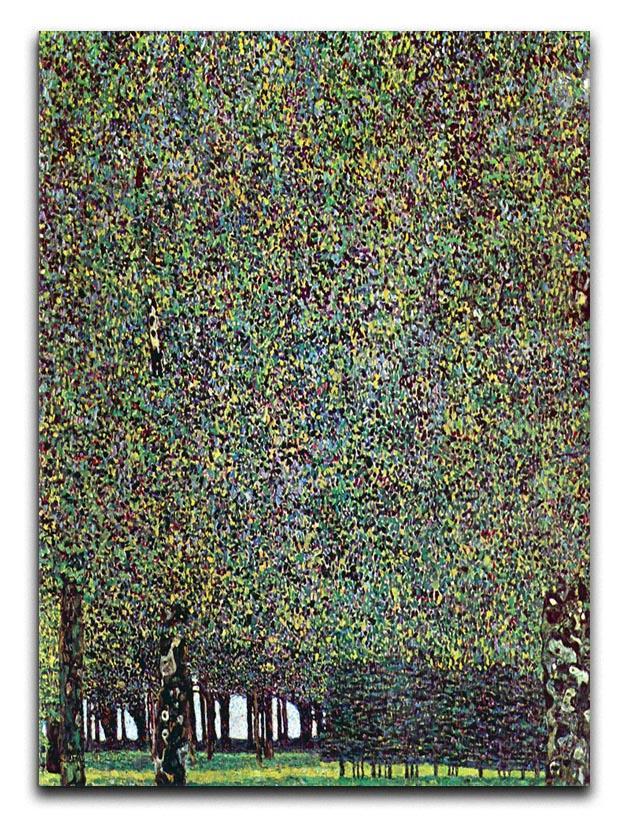 The Park by Klimt Canvas Print or Poster  - Canvas Art Rocks - 1