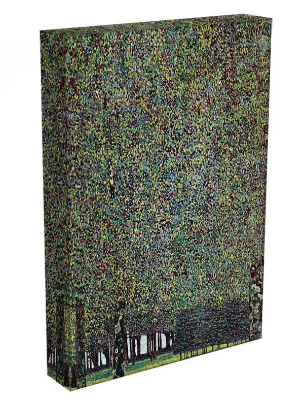 The Park by Klimt Canvas Print or Poster - Canvas Art Rocks - 3