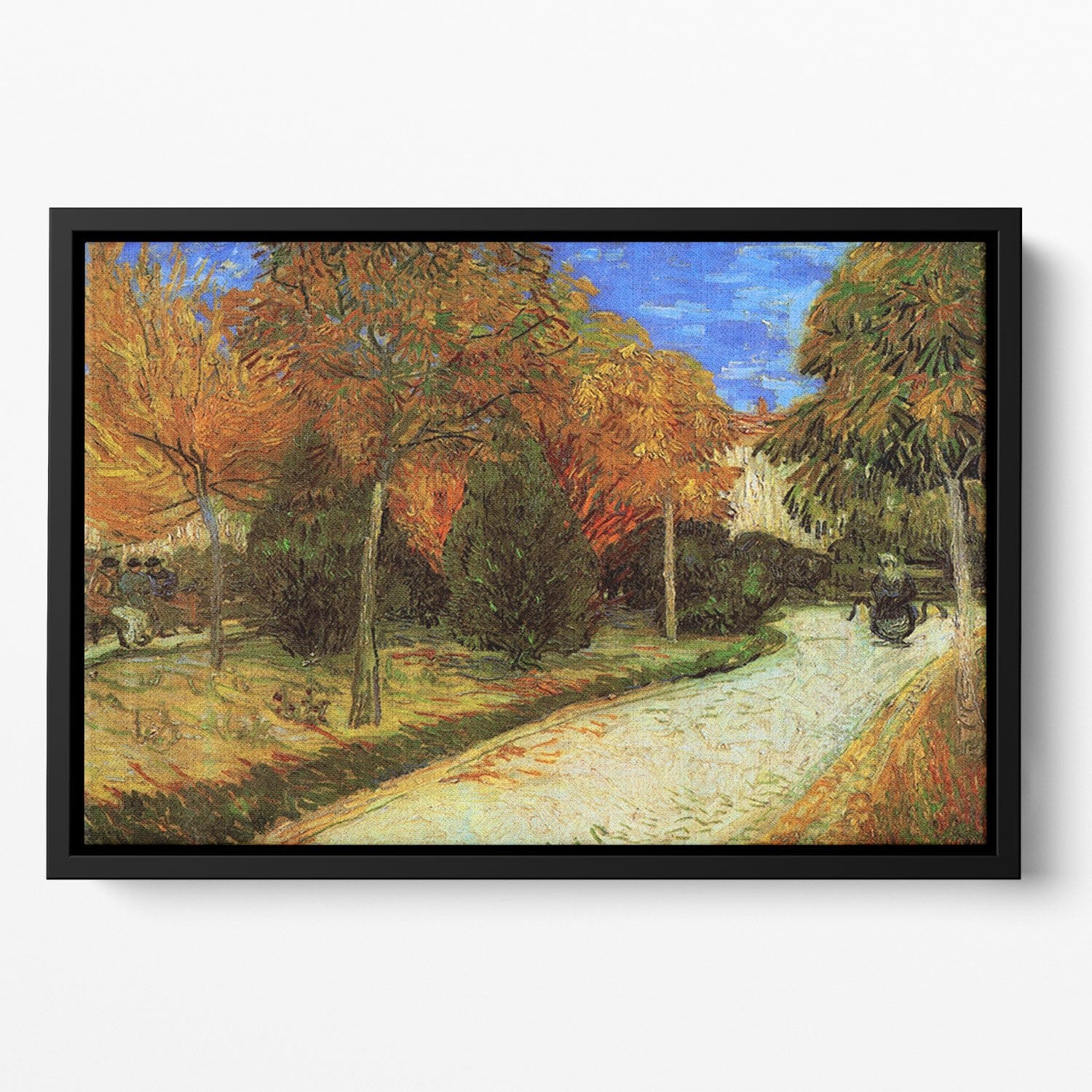 The Public Park at Arles by Van Gogh Floating Framed Canvas