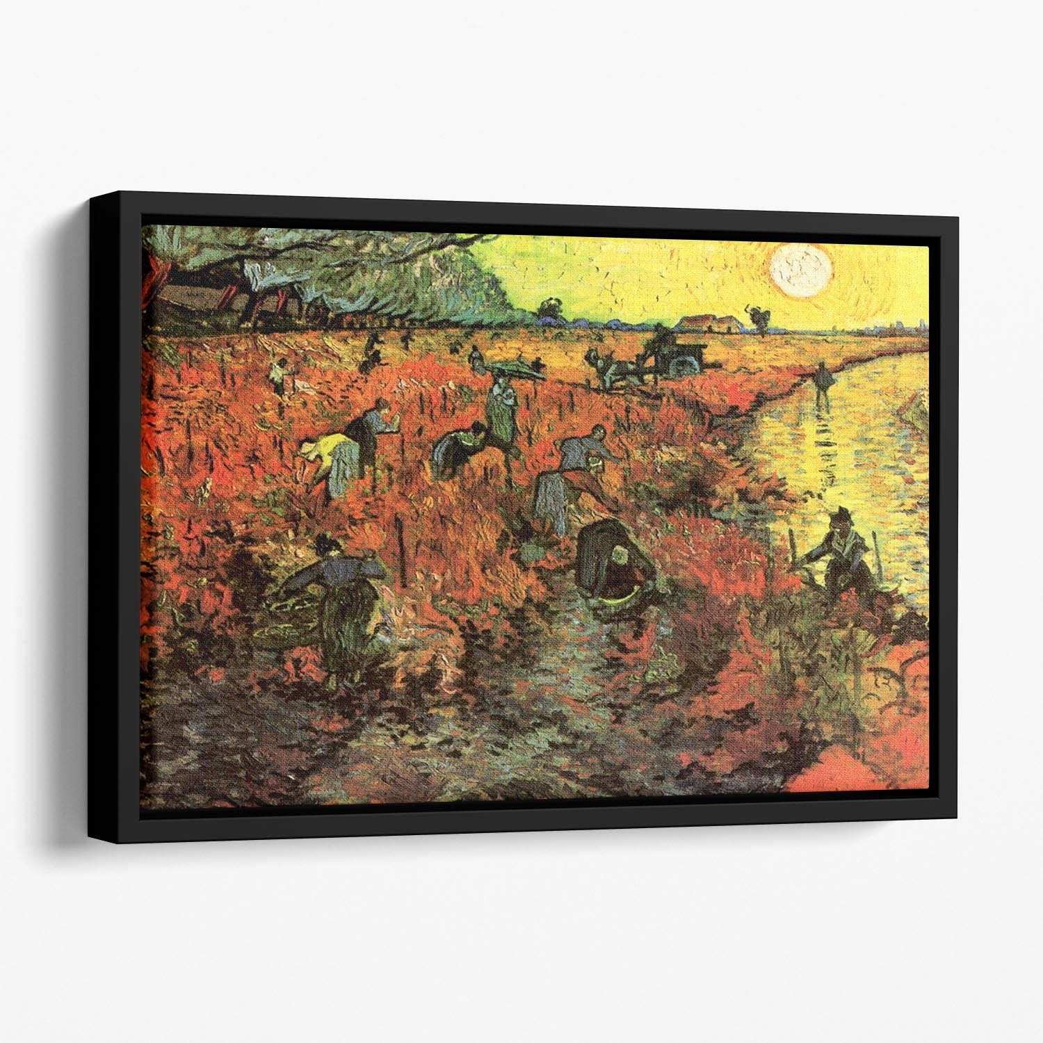 The Red Vineyard by Van Gogh Floating Framed Canvas