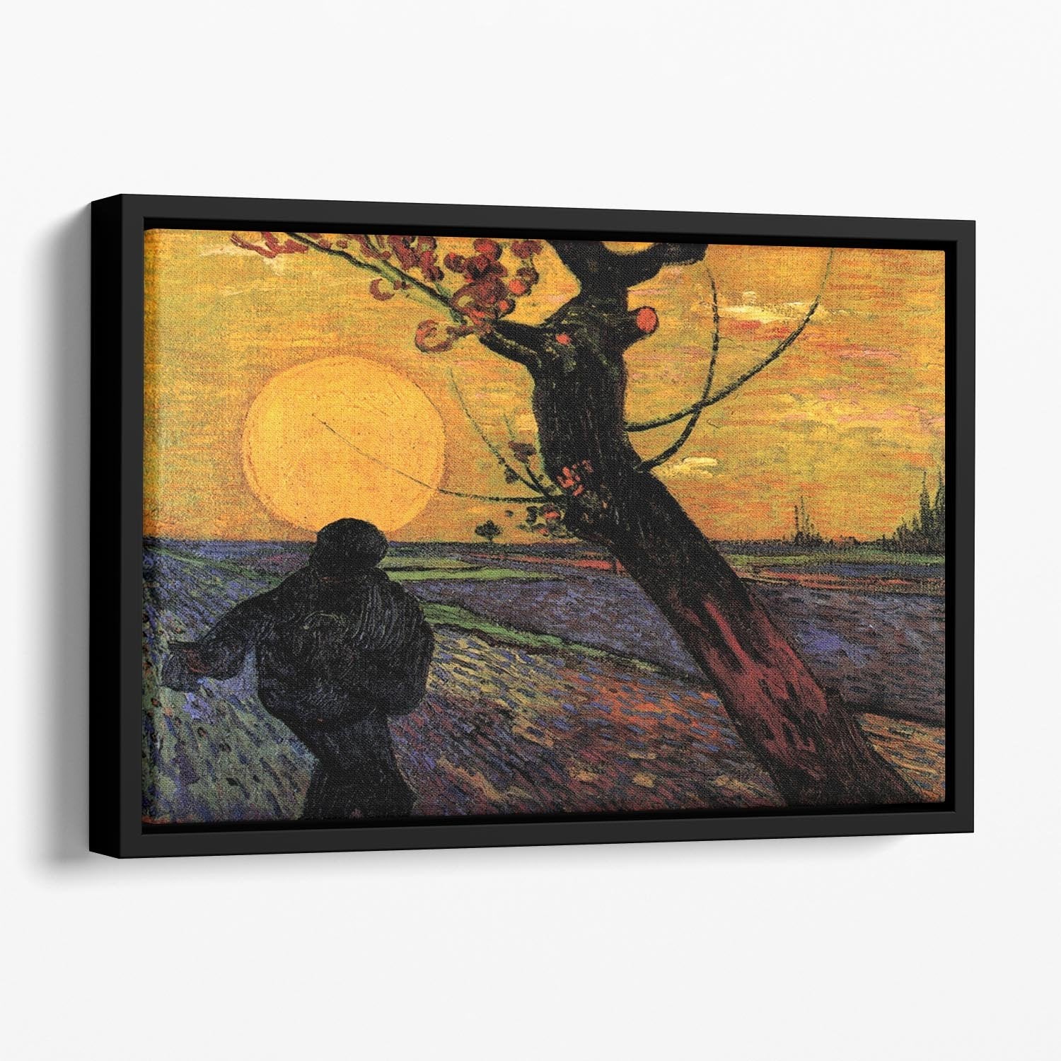 The Sower 2 by Van Gogh Floating Framed Canvas