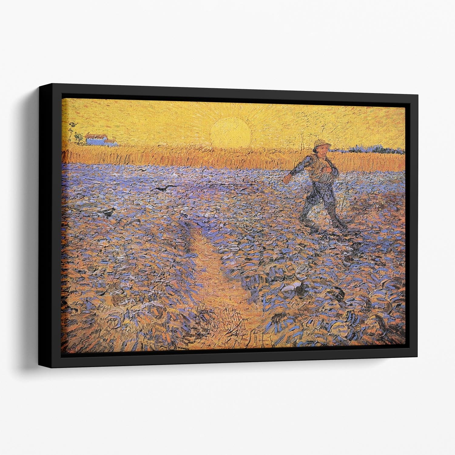 The Sower 3 by Van Gogh Floating Framed Canvas