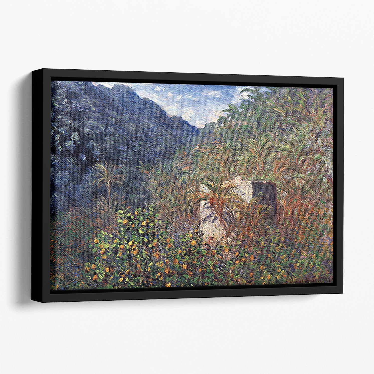 The Valley Sasso Bordighera by Monet Floating Framed Canvas