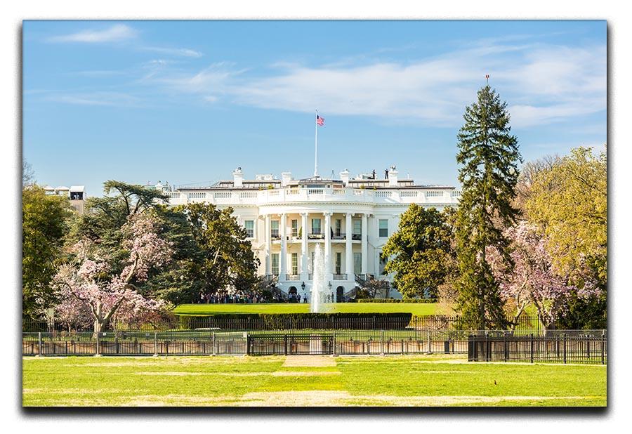 The White House Blossoms Canvas Print or Poster  - Canvas Art Rocks - 1