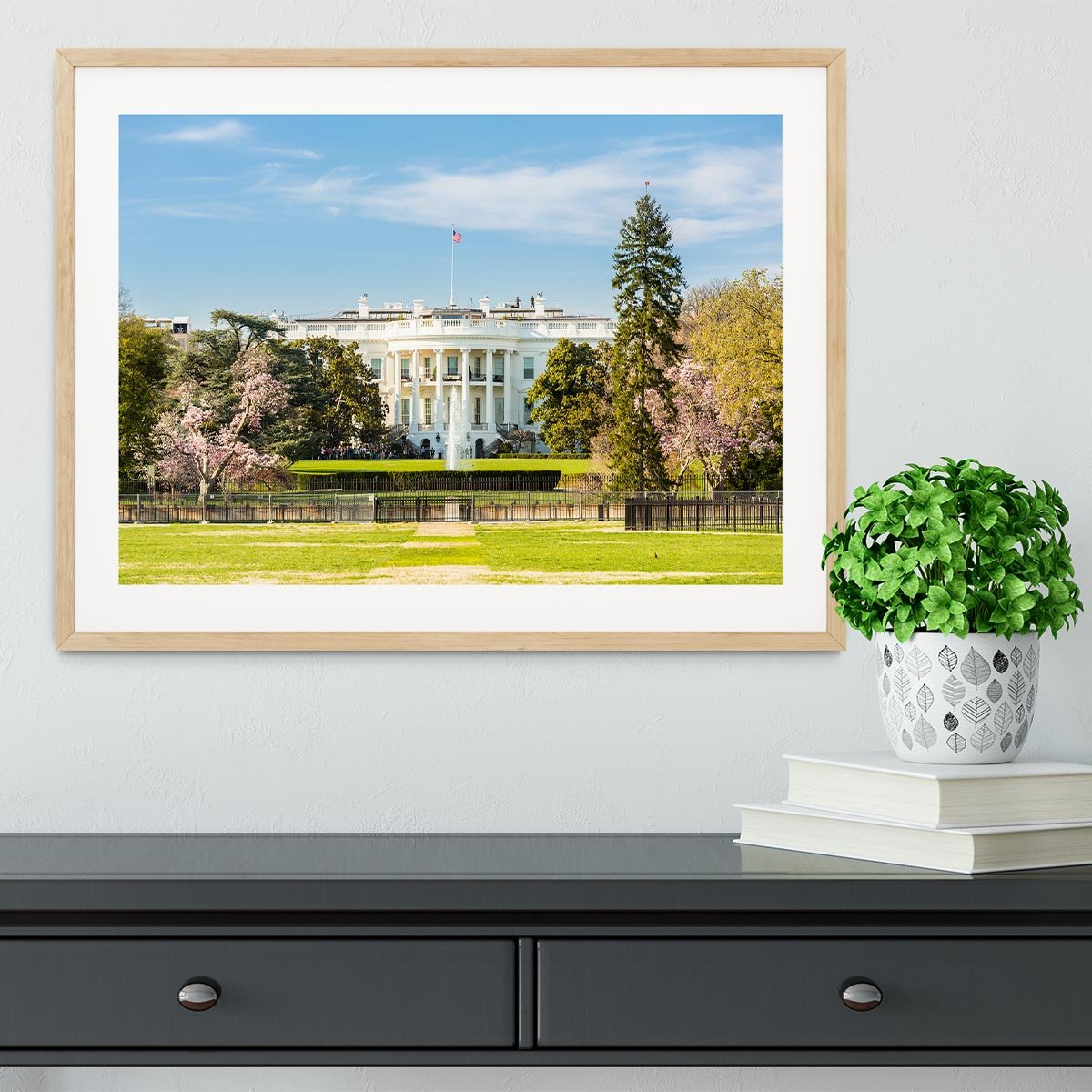 The White House Blossoms Framed Print - Canvas Art Rocks - 3
