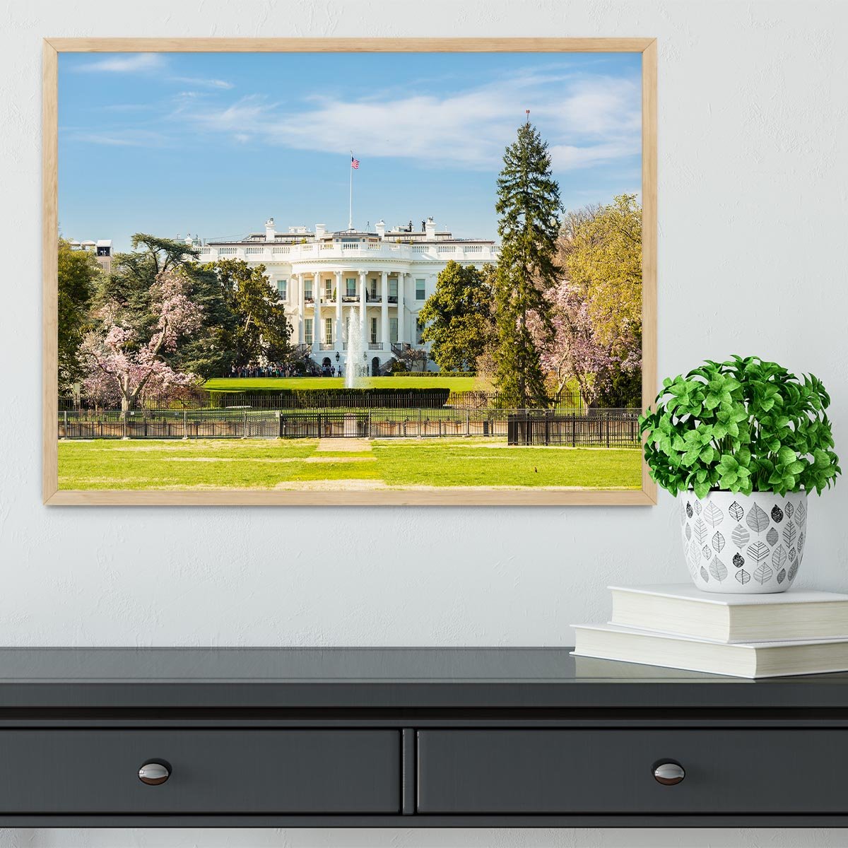 The White House Blossoms Framed Print - Canvas Art Rocks - 4