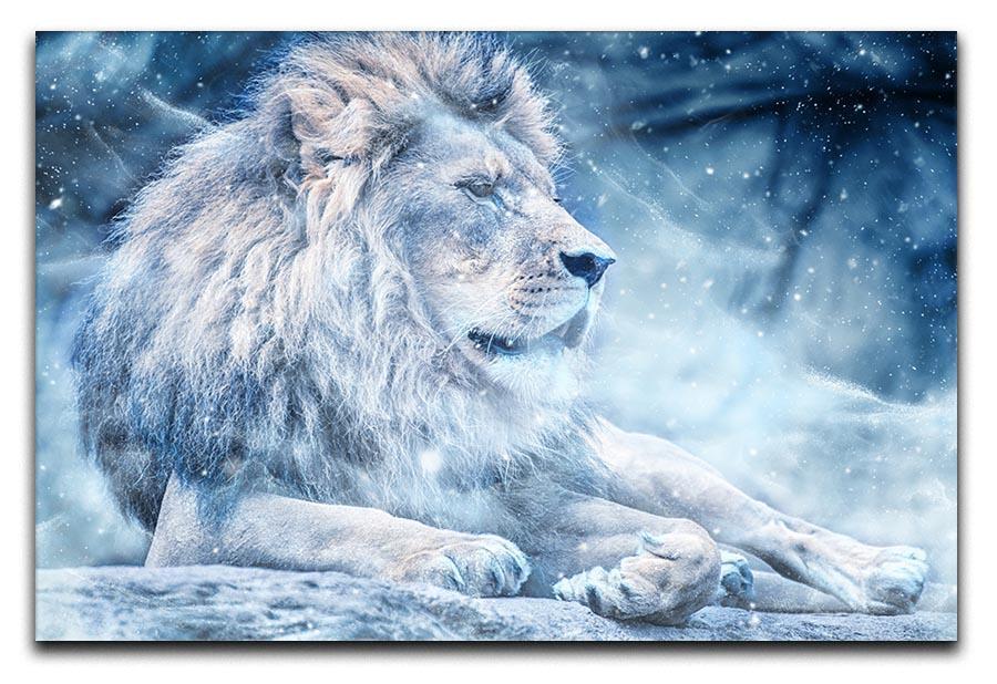 The White Lion Canvas Print or Poster  - Canvas Art Rocks - 1