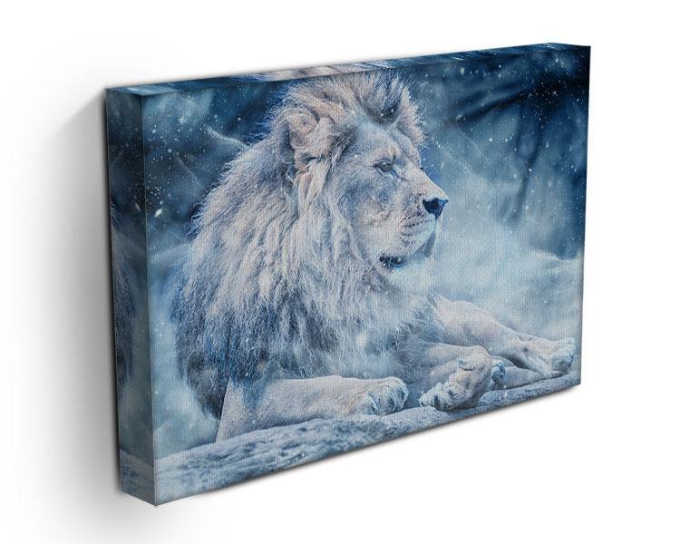The White Lion Canvas Print or Poster - Canvas Art Rocks - 3