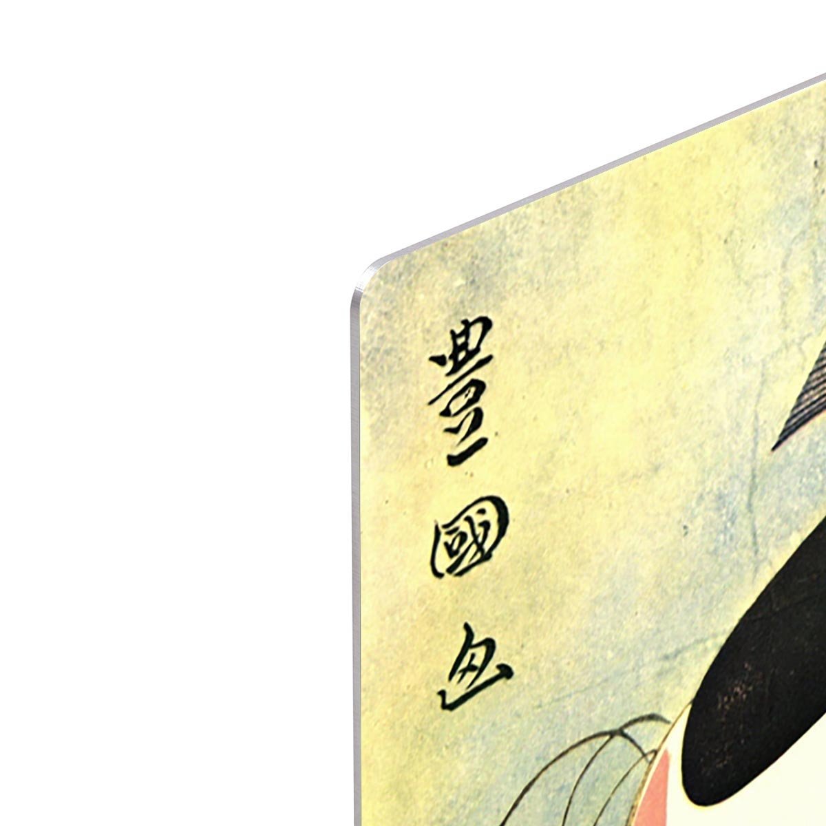The actor Ichikawa Ebizo by Hokusai HD Metal Print