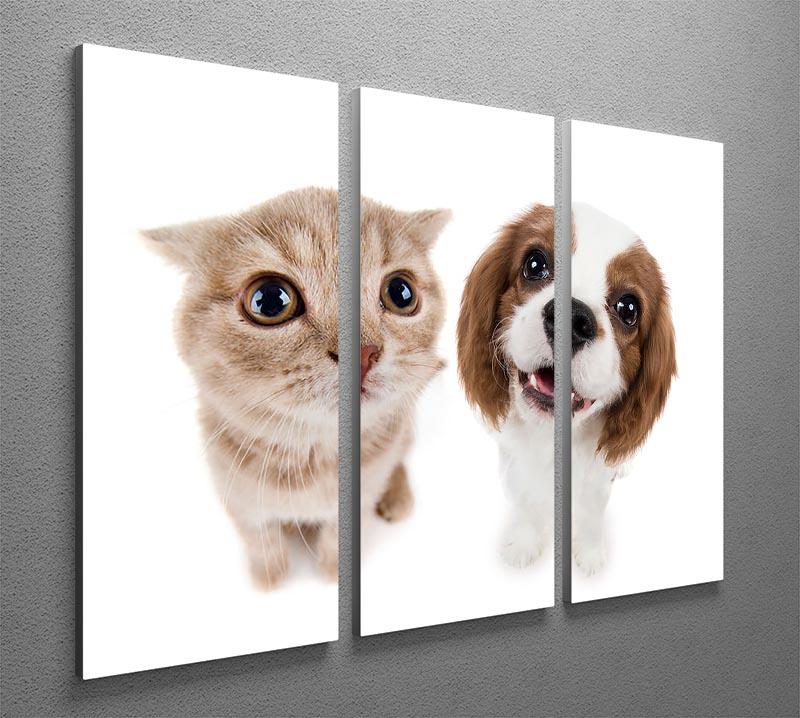 The beautiful brown little kitten with dog 3 Split Panel Canvas Print - Canvas Art Rocks - 2