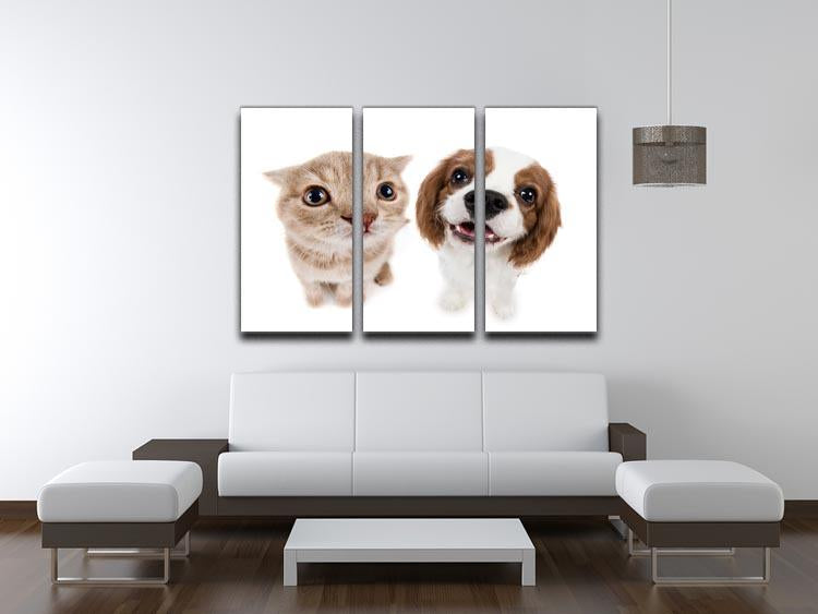 The beautiful brown little kitten with dog 3 Split Panel Canvas Print - Canvas Art Rocks - 3