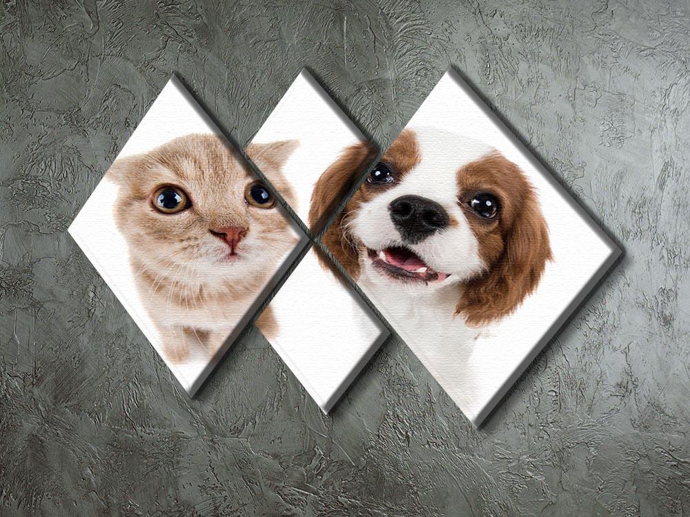 The beautiful brown little kitten with dog 4 Square Multi Panel Canvas - Canvas Art Rocks - 2