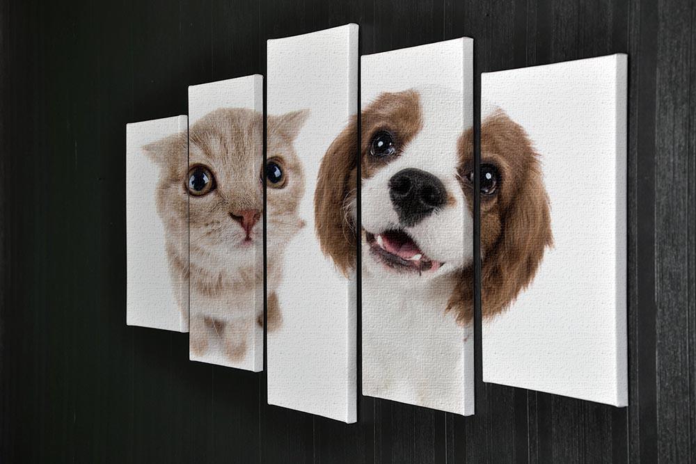 The beautiful brown little kitten with dog 5 Split Panel Canvas - Canvas Art Rocks - 2
