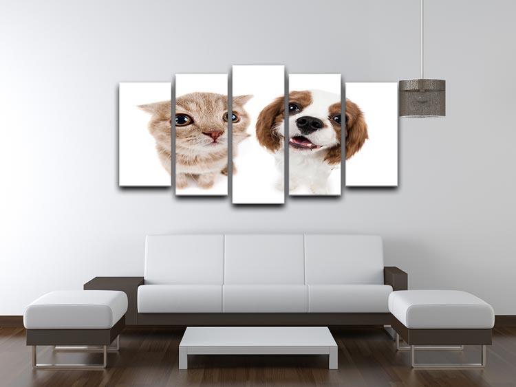 The beautiful brown little kitten with dog 5 Split Panel Canvas - Canvas Art Rocks - 3