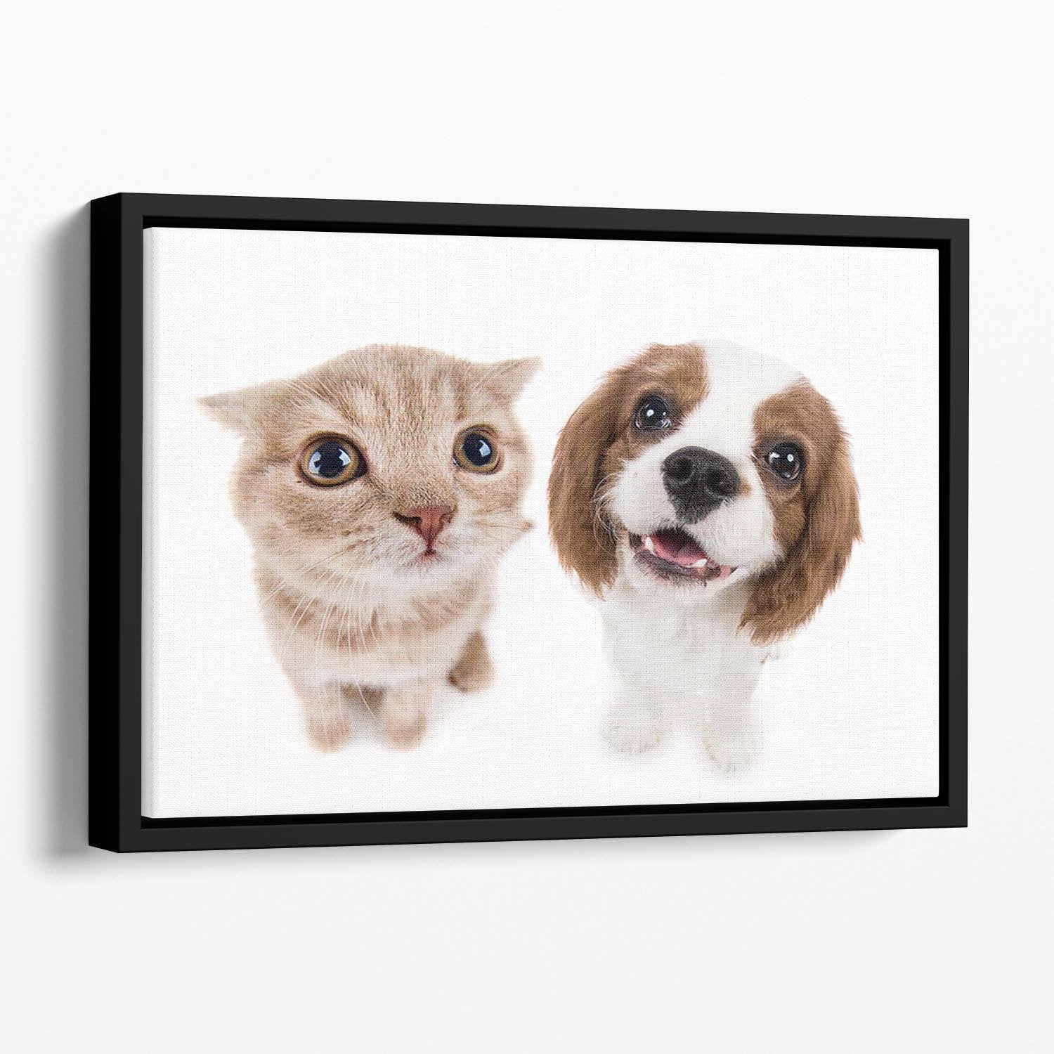 The beautiful brown little kitten with dog Floating Framed Canvas - Canvas Art Rocks - 1