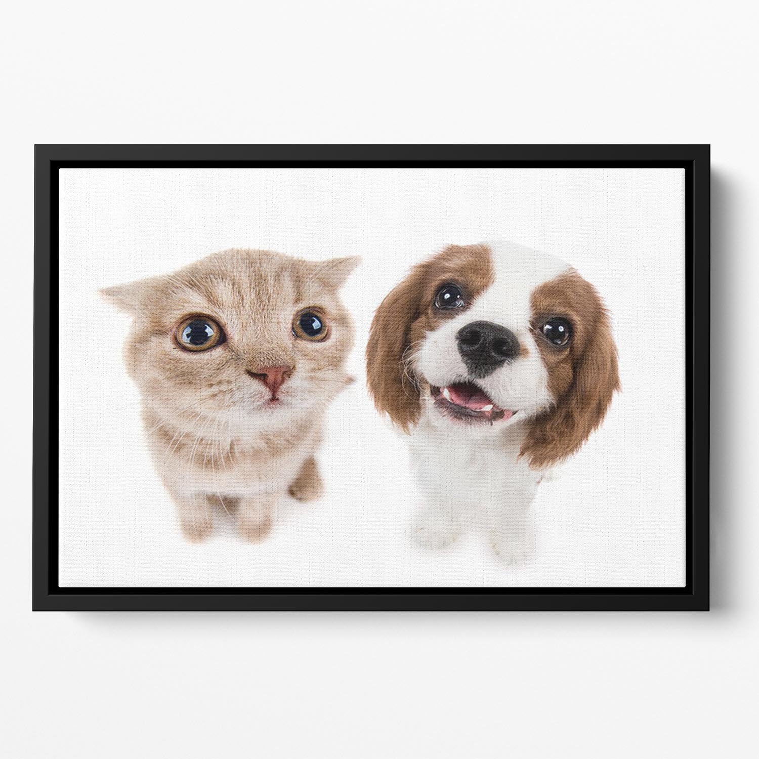 The beautiful brown little kitten with dog Floating Framed Canvas - Canvas Art Rocks - 2