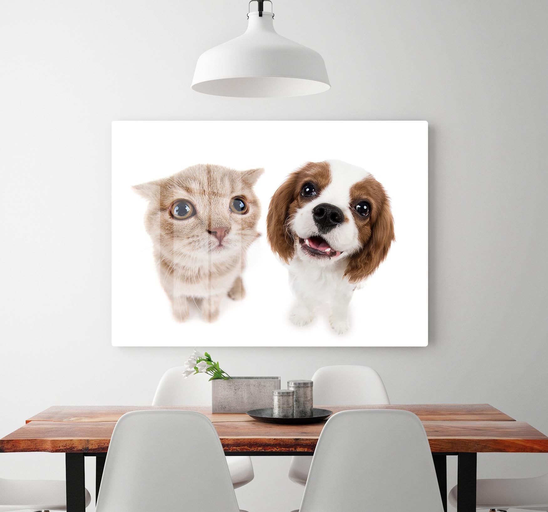 The beautiful brown little kitten with dog HD Metal Print - Canvas Art Rocks - 2