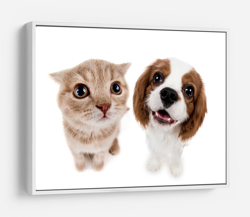 The beautiful brown little kitten with dog HD Metal Print - Canvas Art Rocks - 7