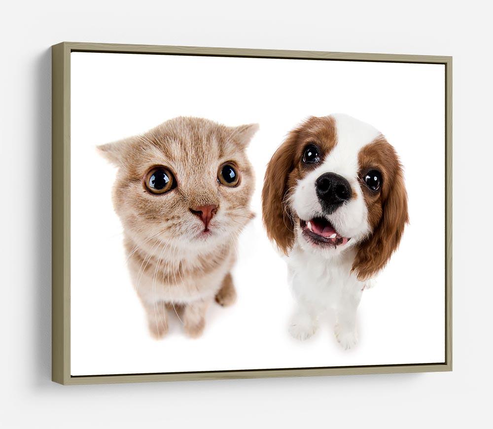 The beautiful brown little kitten with dog HD Metal Print - Canvas Art Rocks - 8