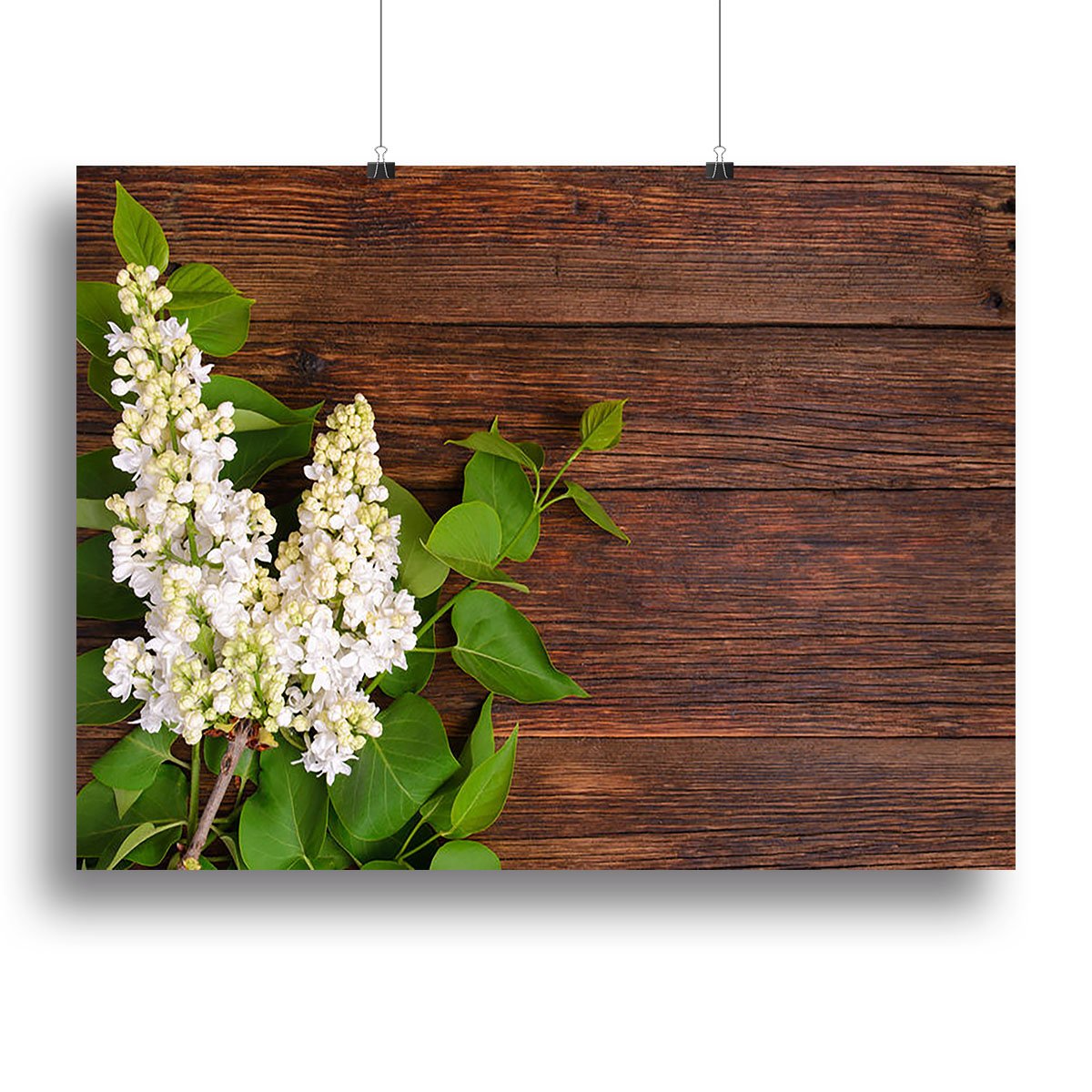 The beautiful lilac on a wooden background Canvas Print or Poster