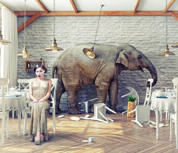 The elephant calm in a restaurant interior. photo combination concept Wall Mural Wallpaper