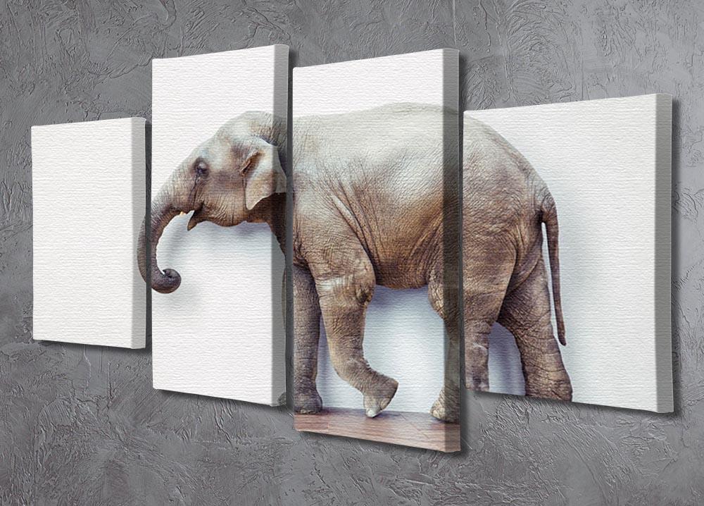 The elephant calm in the room near white wall 4 Split Panel Canvas - Canvas Art Rocks - 2