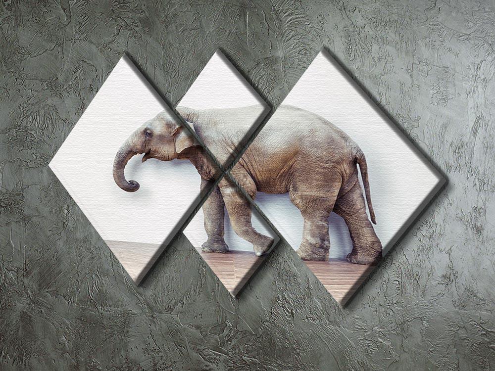 The elephant calm in the room near white wall 4 Square Multi Panel Canvas - Canvas Art Rocks - 2
