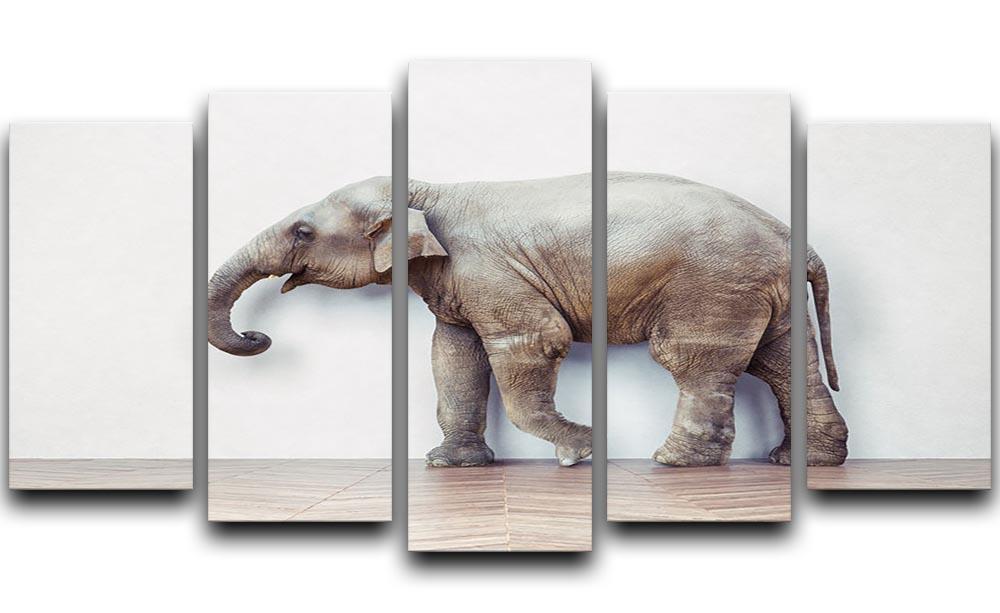 The elephant calm in the room near white wall 5 Split Panel Canvas - Canvas Art Rocks - 1