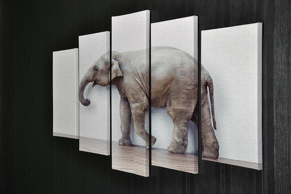 The elephant calm in the room near white wall 5 Split Panel Canvas - Canvas Art Rocks - 2