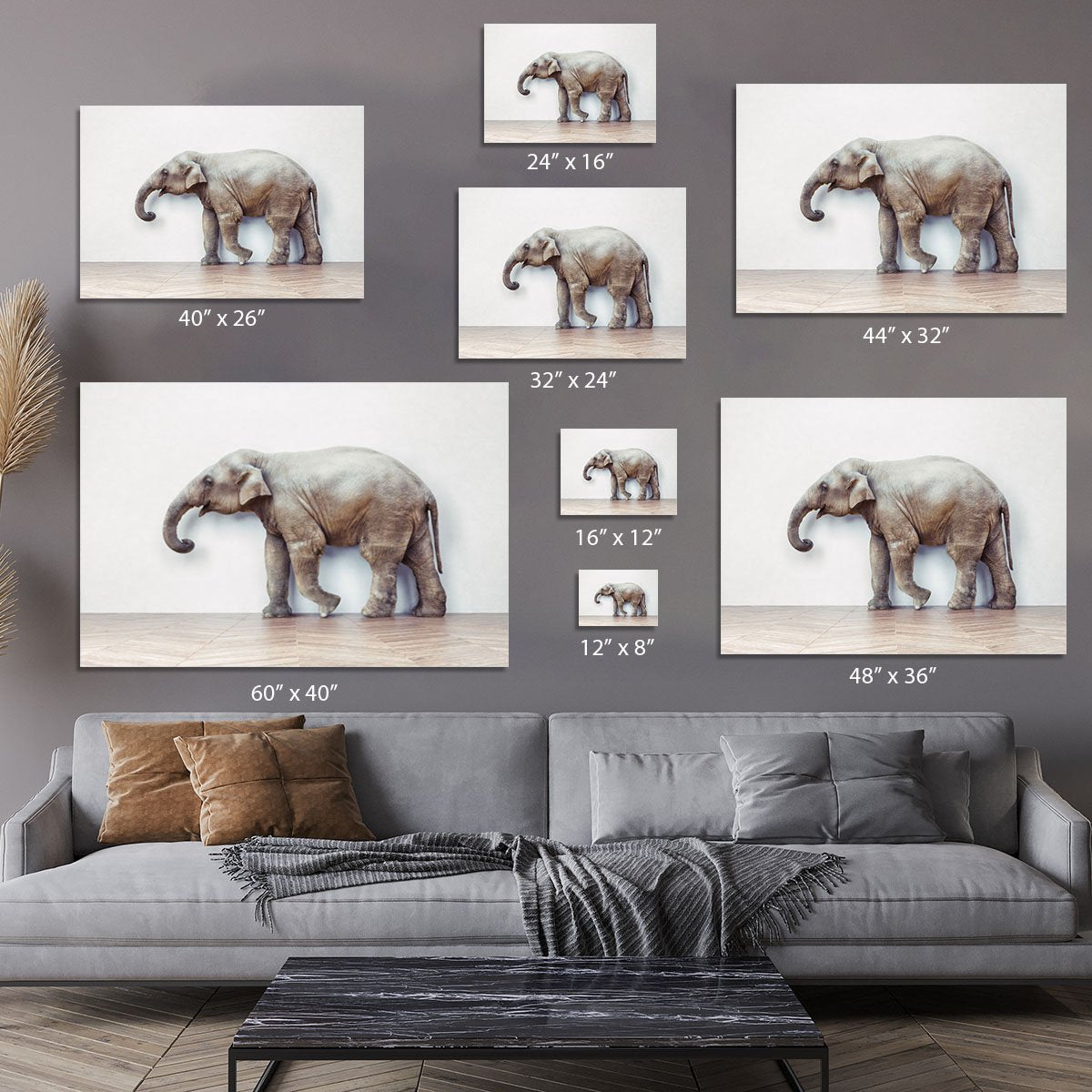 The elephant calm in the room near white wall Canvas Print or Poster