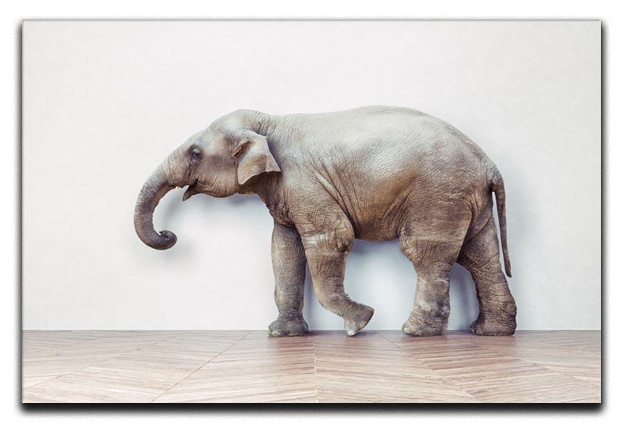 The elephant calm in the room near white wall Canvas Print or Poster - Canvas Art Rocks - 1