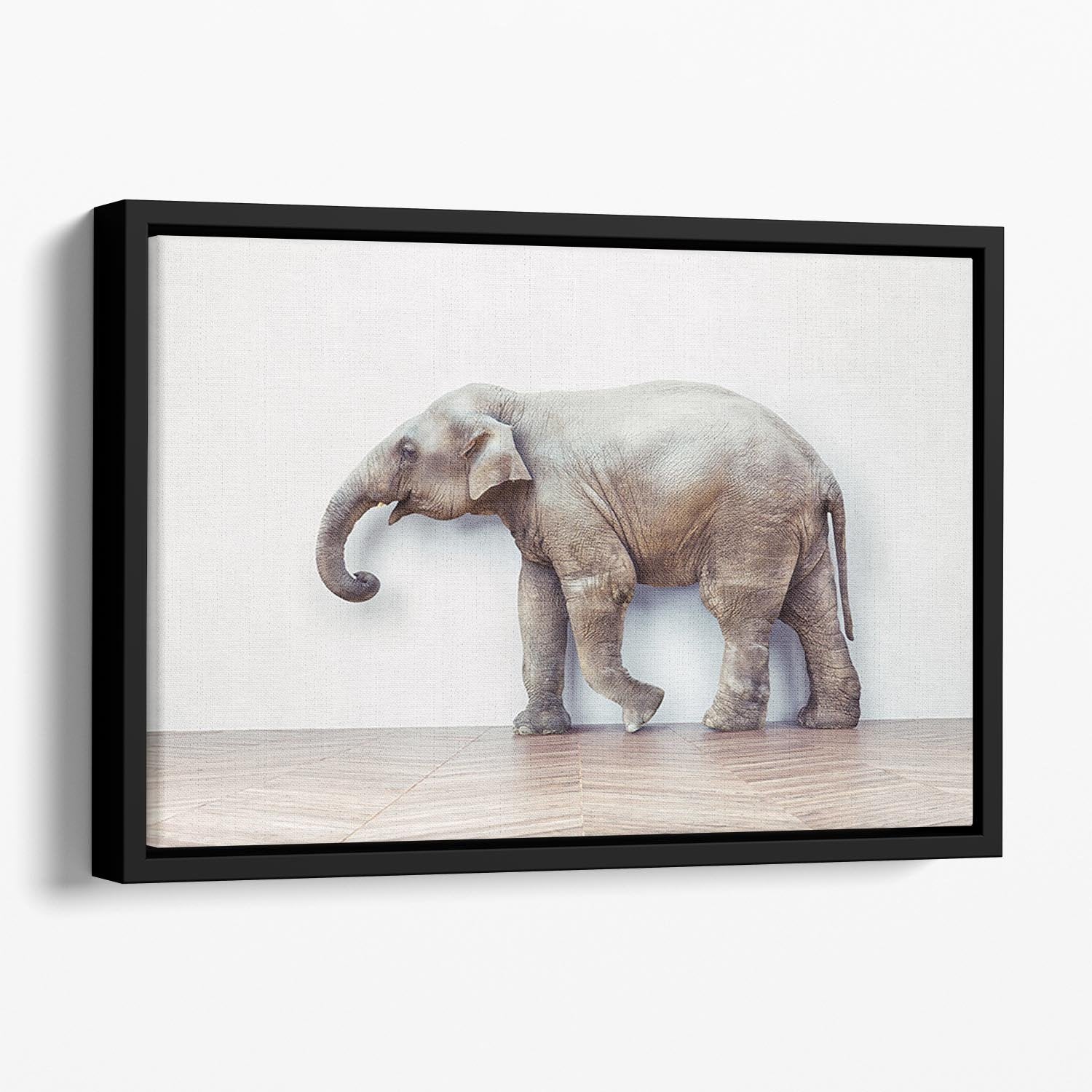 The elephant calm in the room near white wall Floating Framed Canvas - Canvas Art Rocks - 1