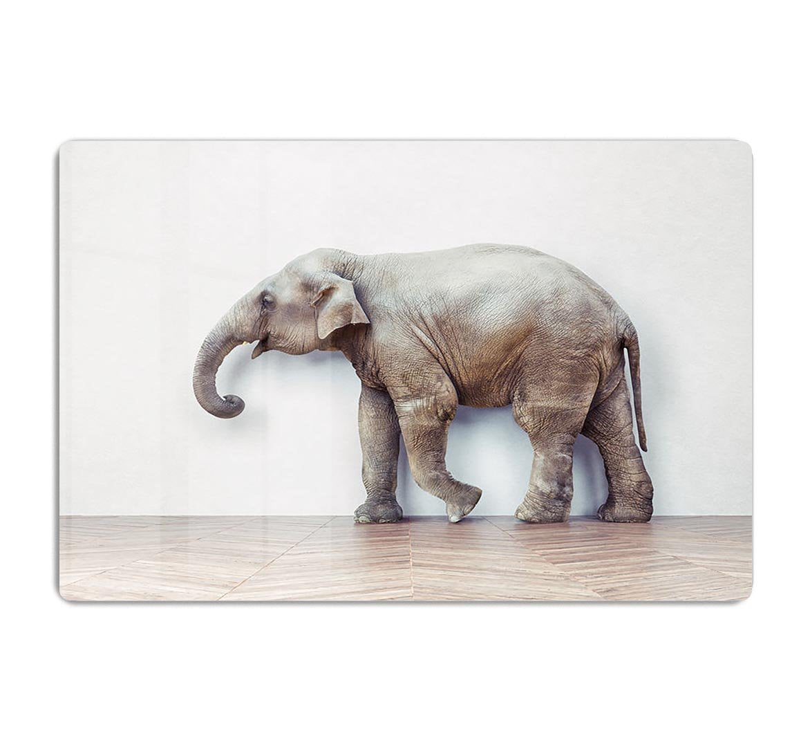 The elephant calm in the room near white wall HD Metal Print - Canvas Art Rocks - 1