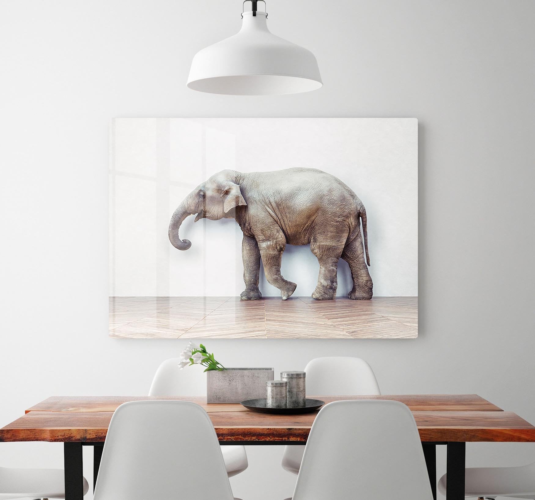 The elephant calm in the room near white wall HD Metal Print - Canvas Art Rocks - 2