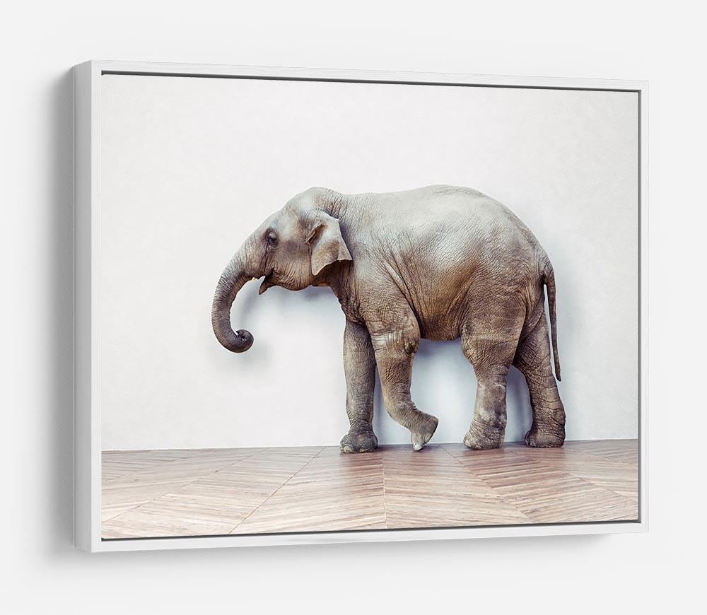 The elephant calm in the room near white wall HD Metal Print - Canvas Art Rocks - 7