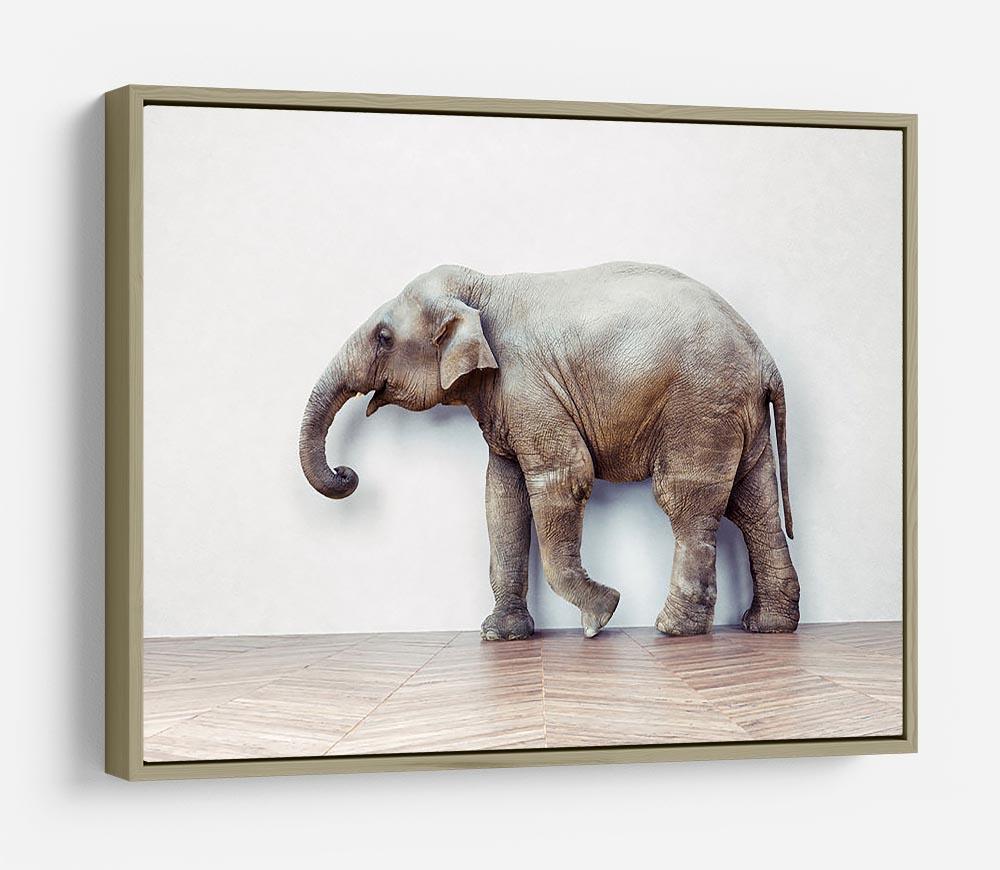 The elephant calm in the room near white wall HD Metal Print - Canvas Art Rocks - 8