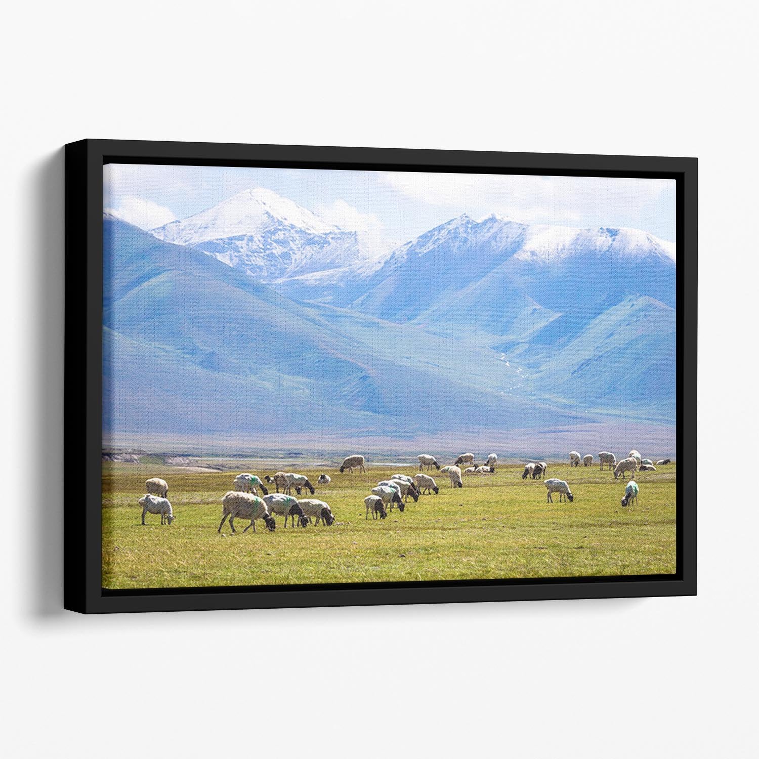 The flock under the snow mountain Floating Framed Canvas - Canvas Art Rocks - 1